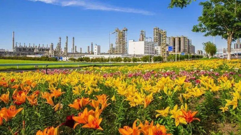 有机化工原料进出口常见问题解答