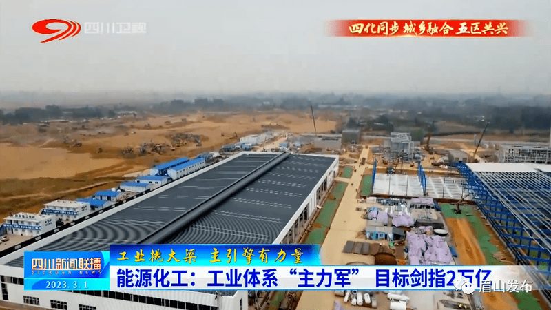 国产分散剂生产厂家排名背后的行业考量